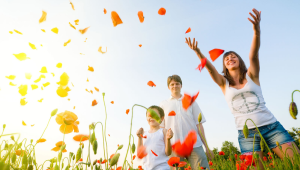 Онлайн-курс «Омоложение и коррекция тела»_0.png